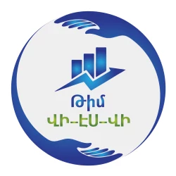 «Թիմ ՎԻ - ԷՍ - ՎԻ» հաշվապահական հաշվառման գրասենյակ