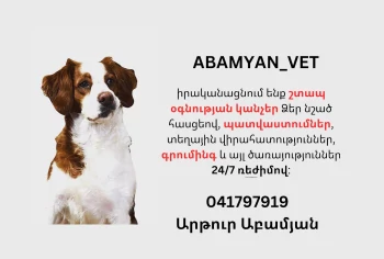 Abamyan vet